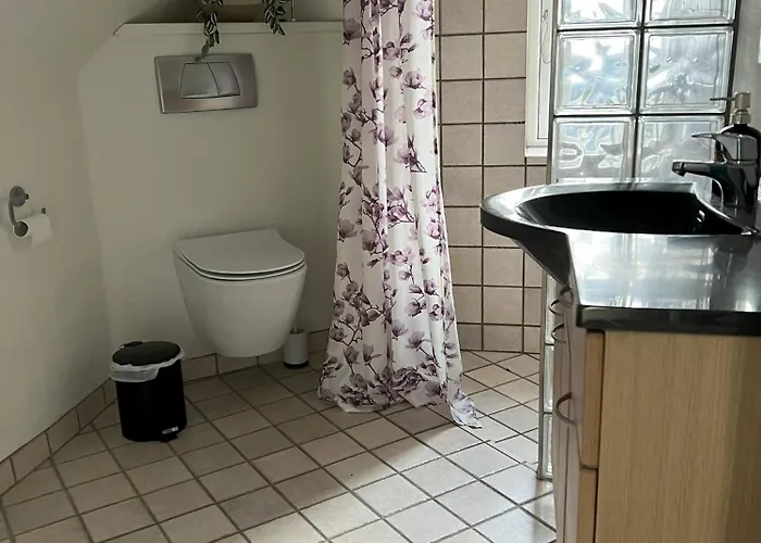 Vejbaek Domus *