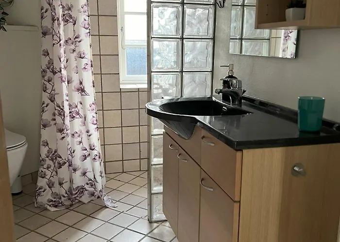 Vejbaek Domus *