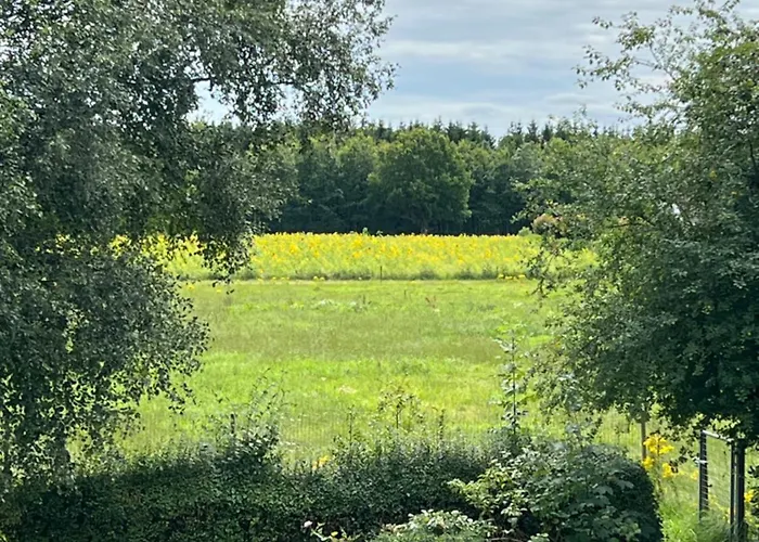 Vejbaek Domus * Padborg